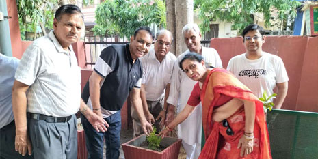 Trees Planting on World Environment Day